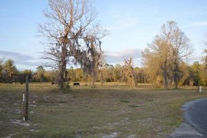 Live Oak, Florida