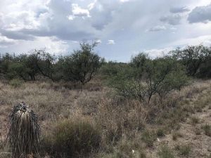 Cochise County, Arizona