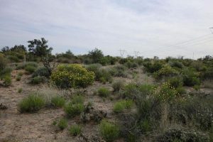 Mohave County, Arizona